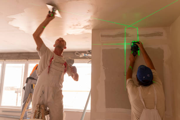 Best Drywall Crack Repair  in Gages Lake, IL