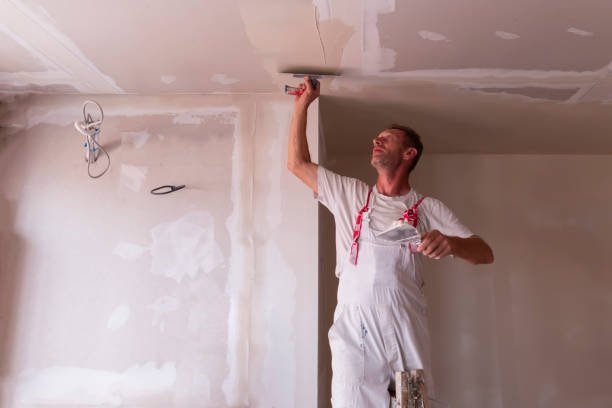 Best Water-Damaged Drywall Repair  in Gages Lake, IL